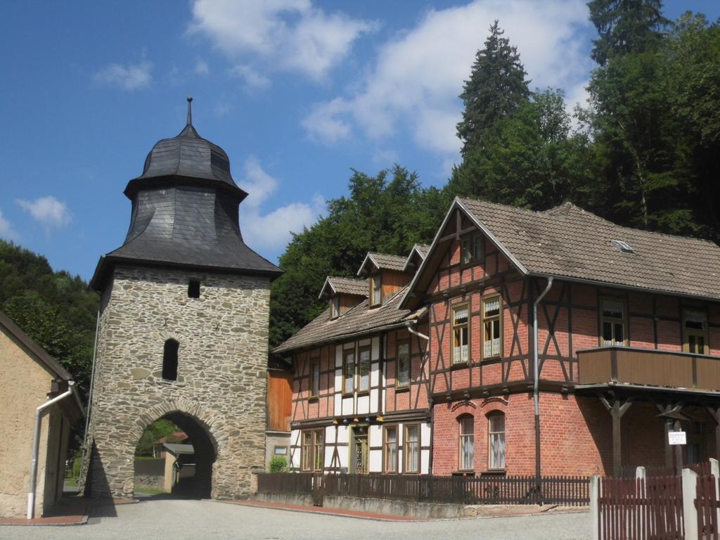 Im Harz Apartment