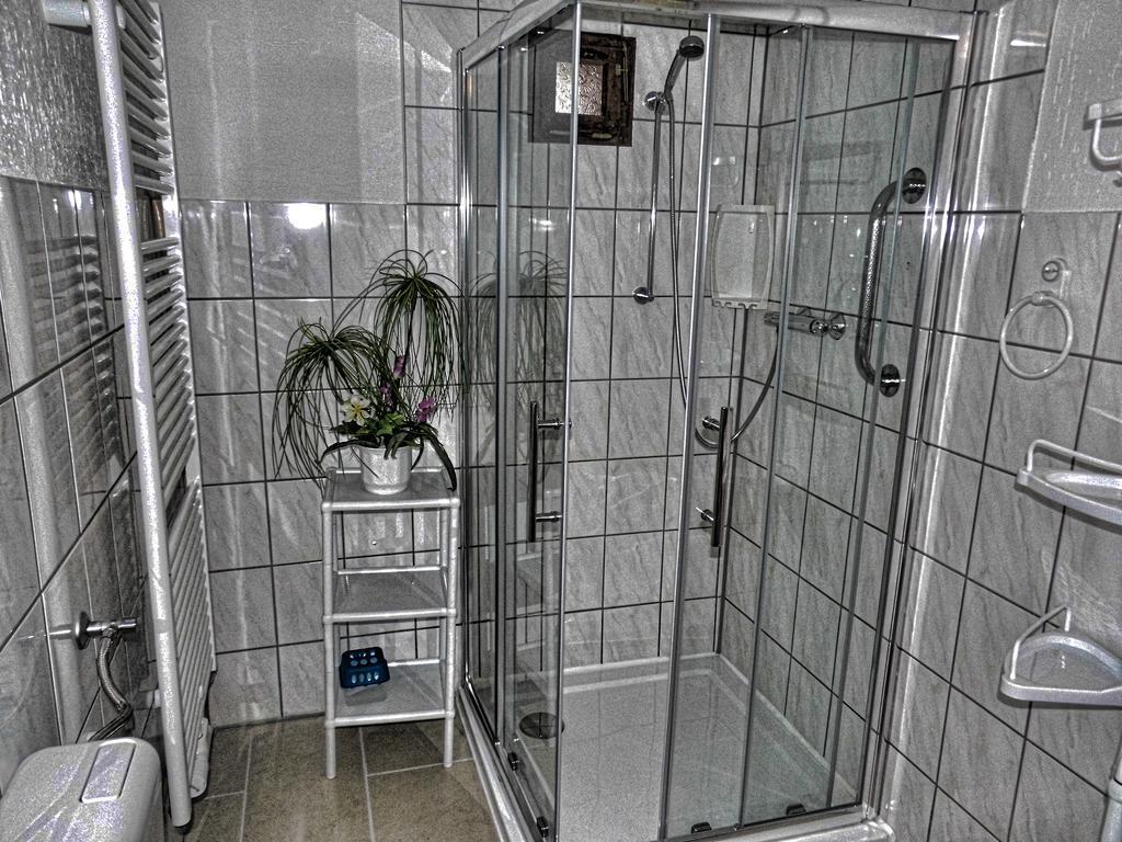 Apartment Im Harz *