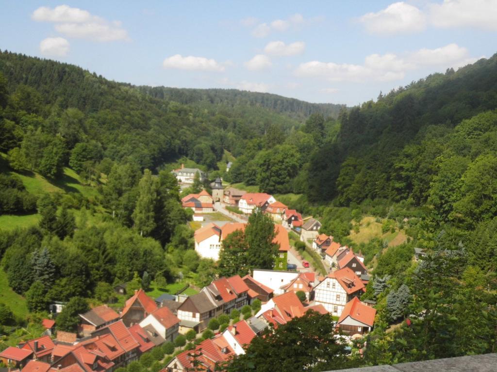 Im Harz *